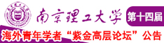 鸡巴草逼视频南京理工大学第十四届海外青年学者紫金论坛诚邀海内外英才！